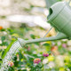 Vegetable garden watering kettle for household use for watering vegetables and flowers