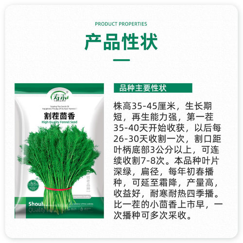 割茬茴香种子种籽苗孑小回香菜种带根四季菜种盆栽籽种蔬菜菜籽 - 图0