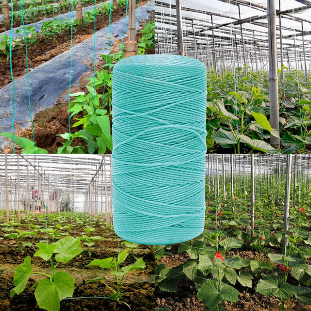 Special hanging rope for vegetables