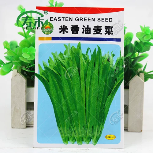 Семена Ourrus Four Seasons Targed Seed Seeds, Болли Болли в горшках раститель