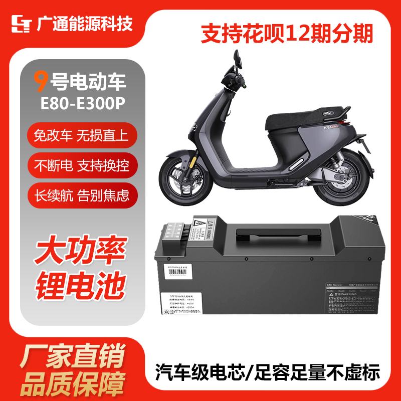 九号E80Cmk2 E100 E150mk2 E200P E300P电摩直上大功率锂电池 - 图2