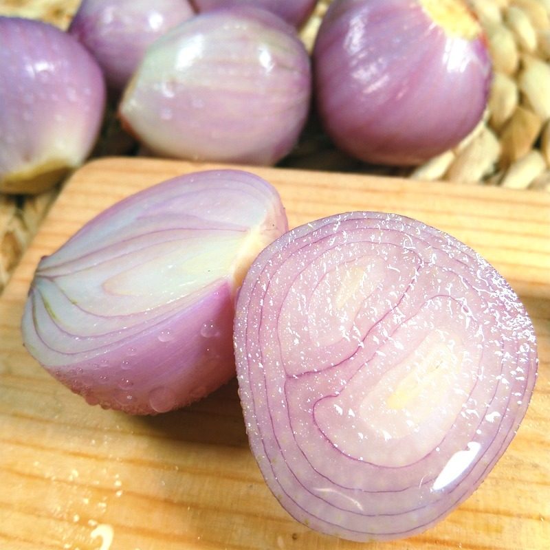 毛葱东北特产鬼子葱新鲜圆葱大红葱头农家笨洋葱小圆葱生吃干毛葱,淘宝优惠券,粉丝福利购,淘宝优惠卷