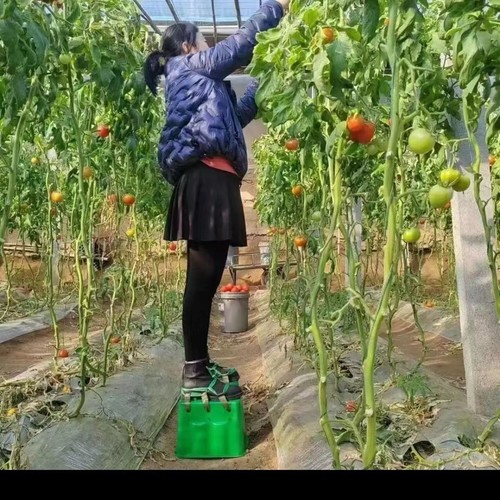 新款大棚田园增高垫懒人增高鞋增高凳子果园干活采摘专用移动神器 - 图0