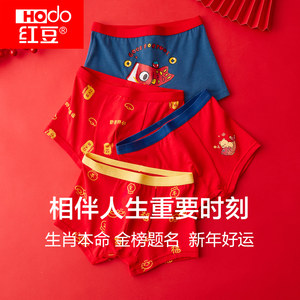红豆男童本命年红色内裤纯棉儿童12岁中大童女孩四角抗菌短裤马年