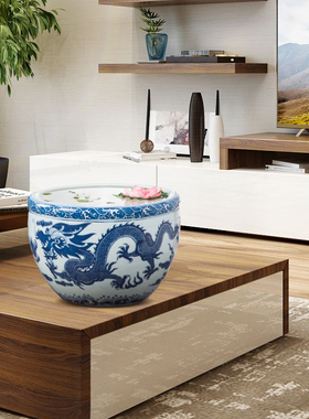 景德镇陶瓷金鱼水仙槟榔荷花盆