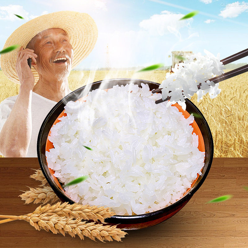 2025年新米五常大米原粮稻花香2号东北大米拉林河水粳米好米10斤,淘宝优惠券,粉丝福利购,淘宝优惠卷