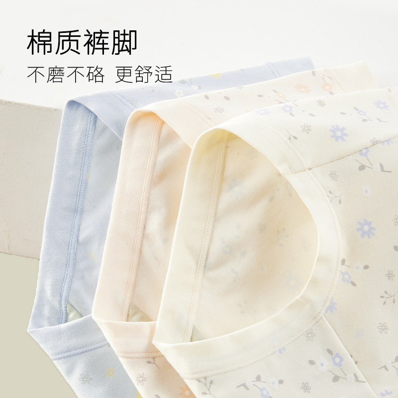 富妮来纯棉女士宽松新年新款四角裤 富妮来女三角裤
