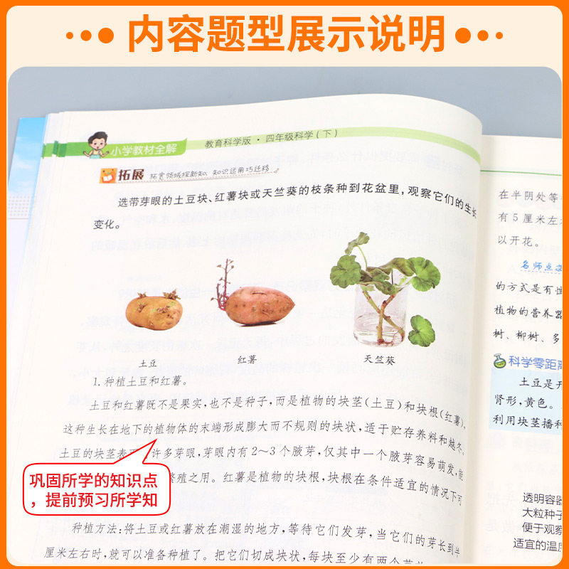 浙江适用2026小学教材全解科学三年级四年级五年级六年级上册下册科学教科版小学课本教材同步预习黄冈学霸笔记随堂练习课堂笔记