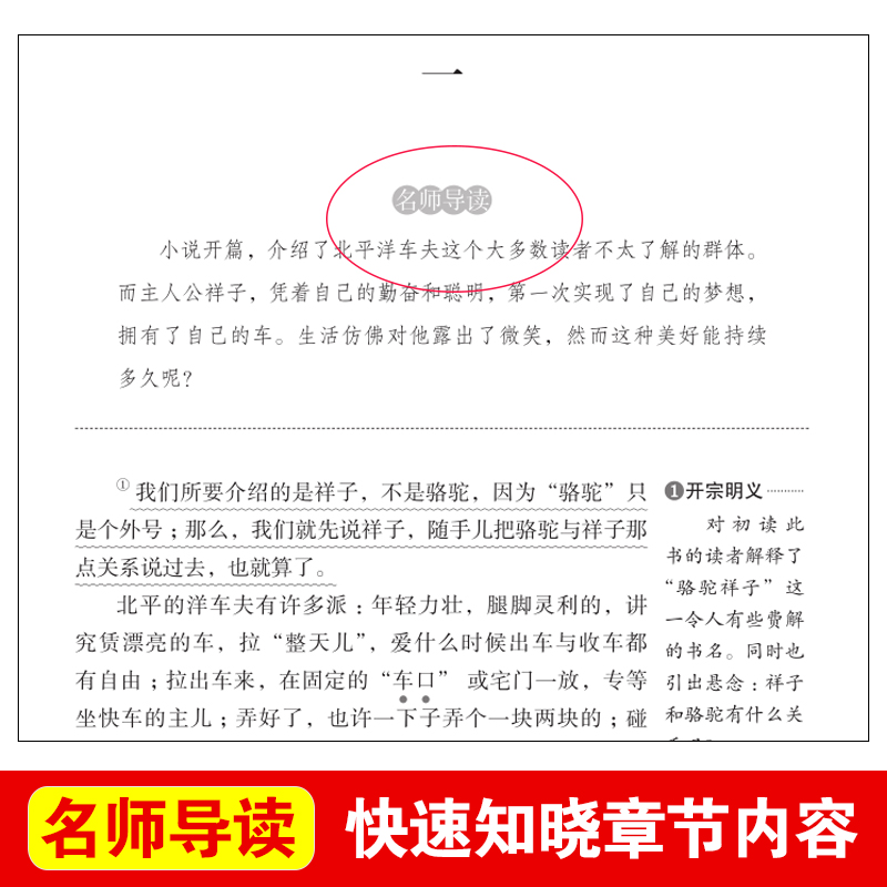 骆驼祥子原著正版老舍的小学生五年级六年级必读课外书籍老师推荐无障碍阅读导读版青少年版天地出版社七年级上册和海底两万里-图0