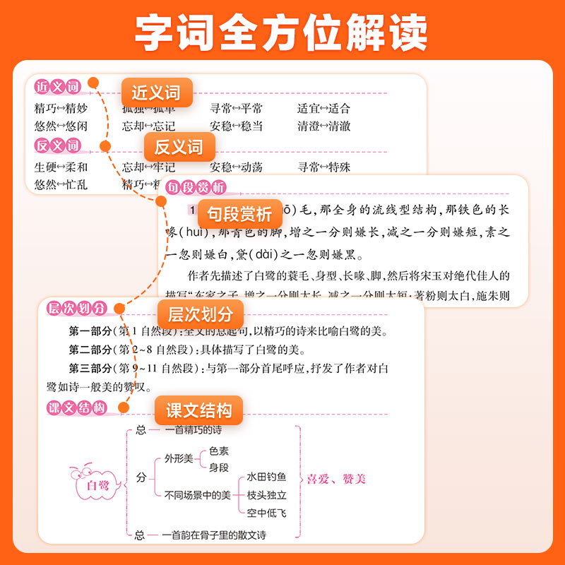 字词句篇一年级二年级三年级四年级五年级六年级上册下册语文人教版小学生句子训练专项练习字词句段篇章同步讲解练习册万向思维