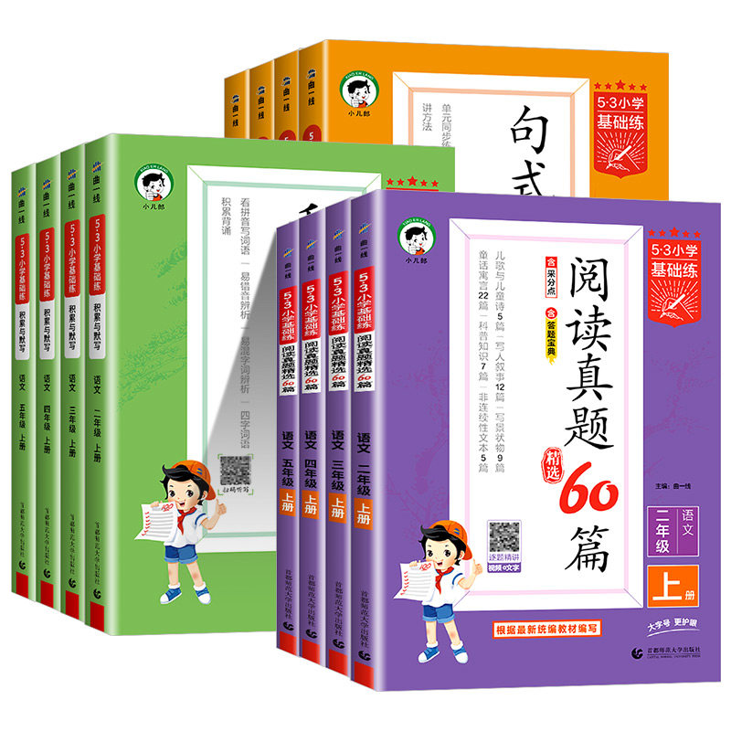 2025版53小学基础练积累与默写一二三四五六年级上册下册语文通用版小学生5.3教材同步练习课堂专项强化训练看拼音写词语默写能手
