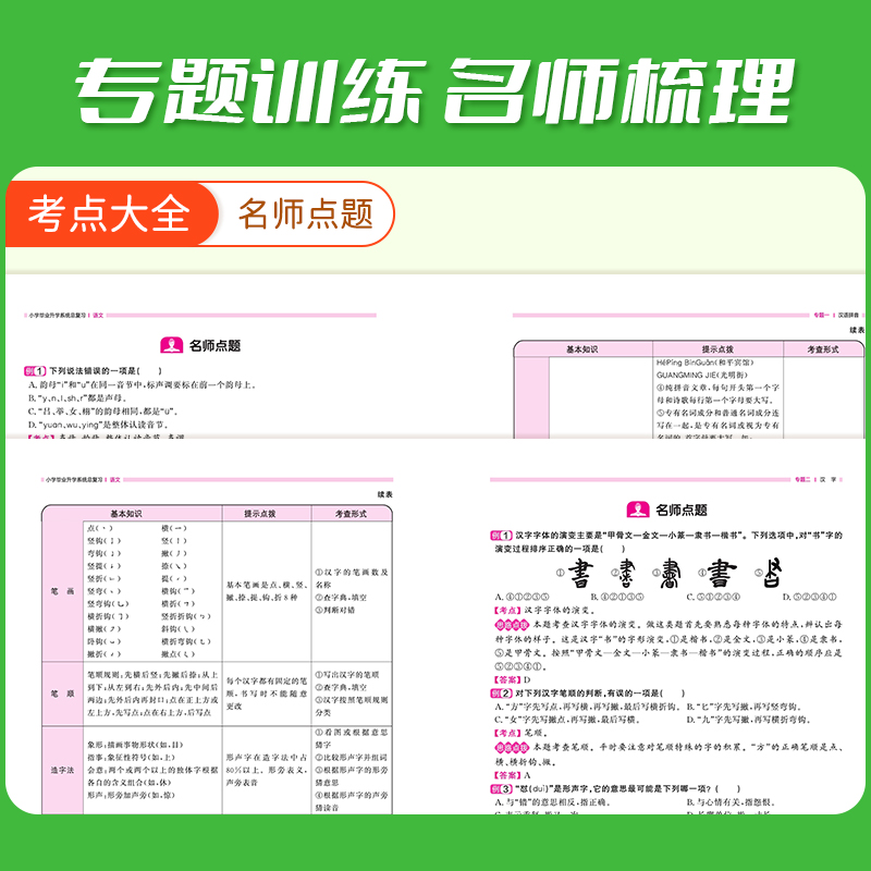 2024新版阳光同学小学毕业升学系统总复习语文小升初浙江专版同步练习册教材培训六年级上册下册专项训练真题模拟测试卷冲刺必刷题-图1