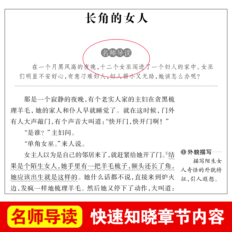 欧洲民间故事五年级必读精选聪明的牧羊人五年级上册必读课外书老师推荐阅读的快乐读书吧5上人教版欧洲明间故事曹文轩天地出版社-图1