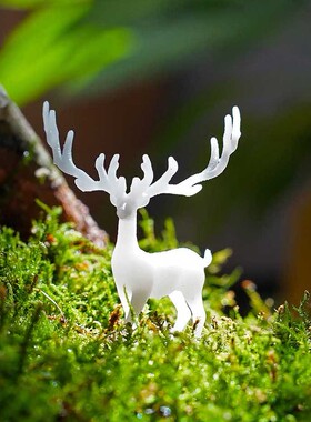 仙鹿苔藓景观装饰素材水路生态