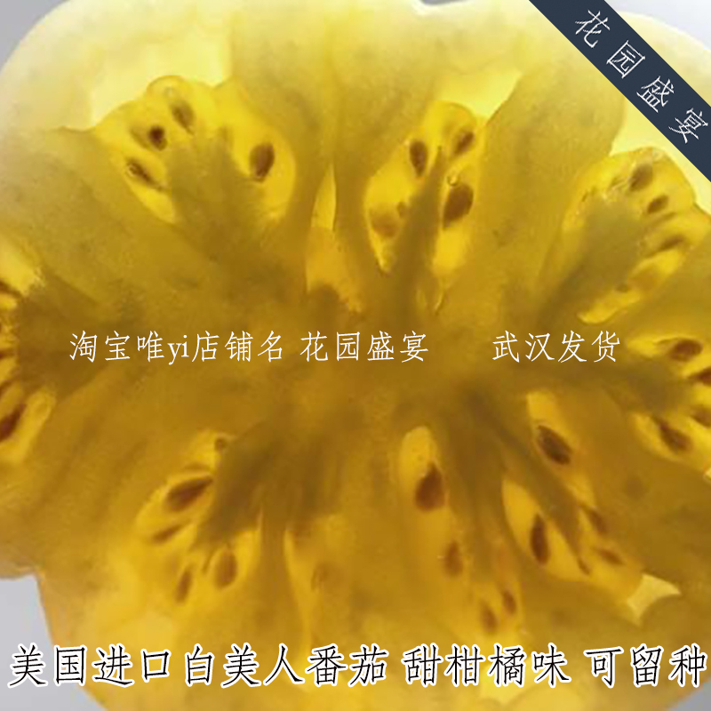 可留种老品种甜柑橘味白美人雪球番茄种子3粒美国传家宝进口 可留种老品种甜柑橘味白美人雪球番茄种子3粒美国传家宝进口