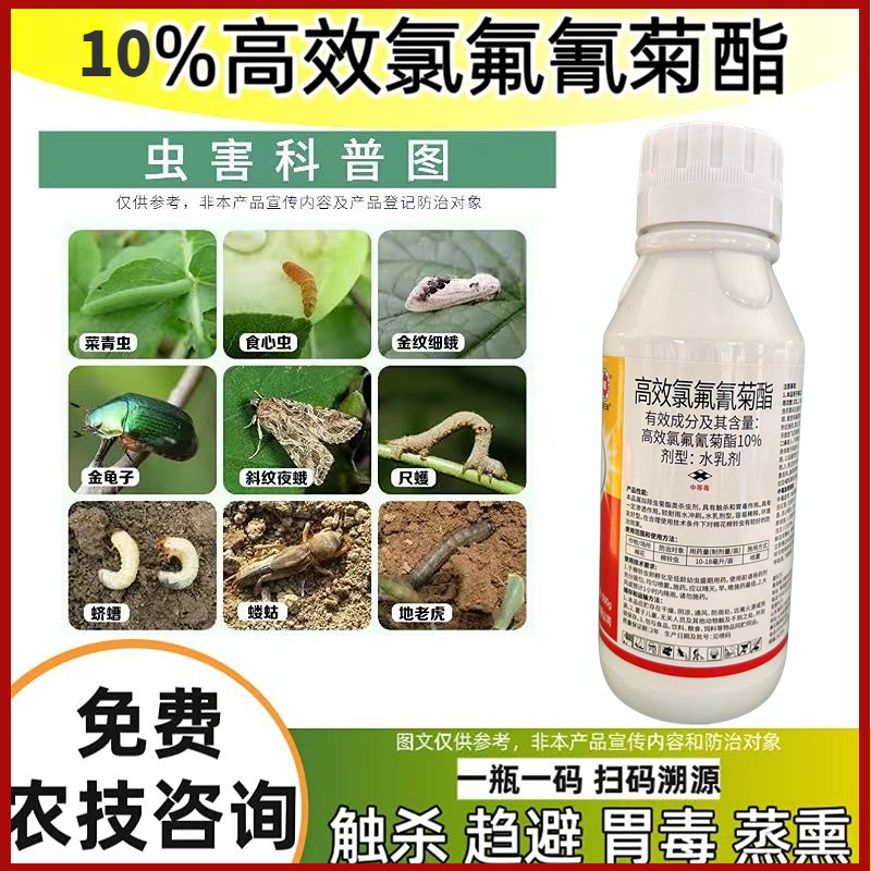 10%高效氯氟氰菊酯 功夫菊酯果树蔬菜棉铃虫青虫肉虫农药杀虫剂 - 图0