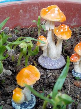 迷你心理苔藓配件树脂工艺盆景