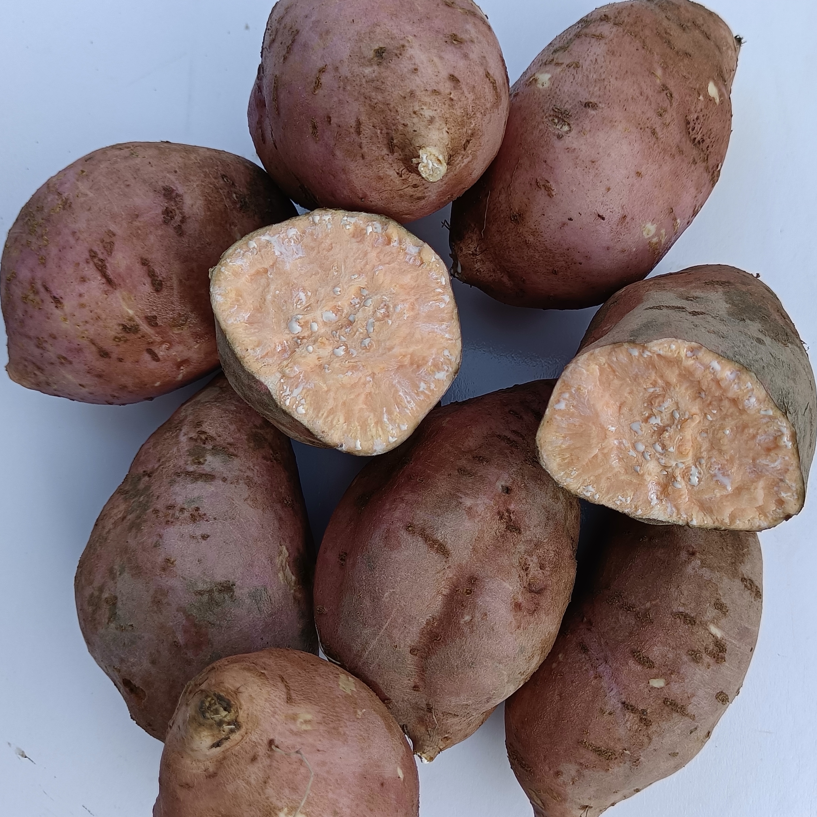 新鲜板栗蜜薯沙地糖心地瓜农家自种番薯山芋红薯沙地软糯沙地板栗 - 图3