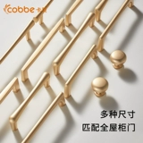 Carba Gold Color Light Luxury Cabine Darder Saint American Small Hool Hand Modern Mimialist Nordic Gabrobe Door Doage