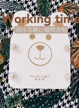 2022新款干花押花器压花