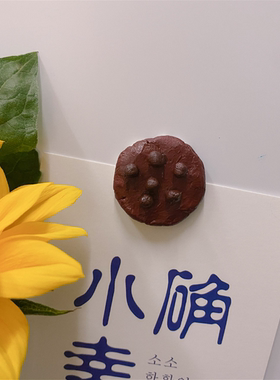 手工石塑粘土ins仿真食物冰箱贴