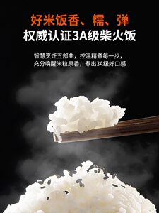 九阳IH电饭煲球型铁釜智能多功能家用4升电饭煲柴火饭官方旗舰店