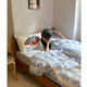 Bed sheet four-piece set 100 long lint cotton ins skin-friendly