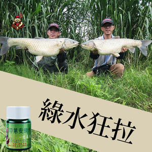 本汀小药印第安绿水垂钓用品鲤鱼鲫鱼饵料野钓黑坑鱼饵添加剂渔具