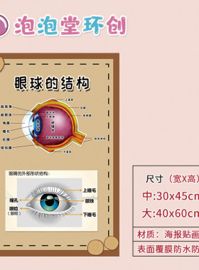 幼儿园爱眼日主题环创眼保健操预防近视保护眼睛知识错误用眼海报