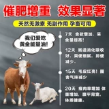 Скот и овец смешанные масляные удобрения для повышения сопротивления на раннем этапе из колоночной зверя -Энергетическое питание жидкости Специальное масла Специальное масло