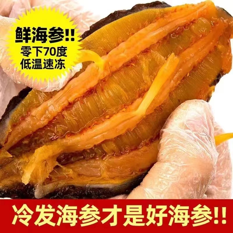 峻江百货冰岛野生红极参高品质鲜食海参即食非淡干辽参刺参滋补品 - 图2