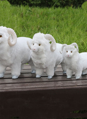 布偶娃娃家居摆件拍摄绵羊