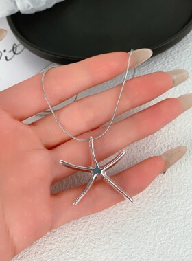 文淇同款简约银色海星吊坠项链