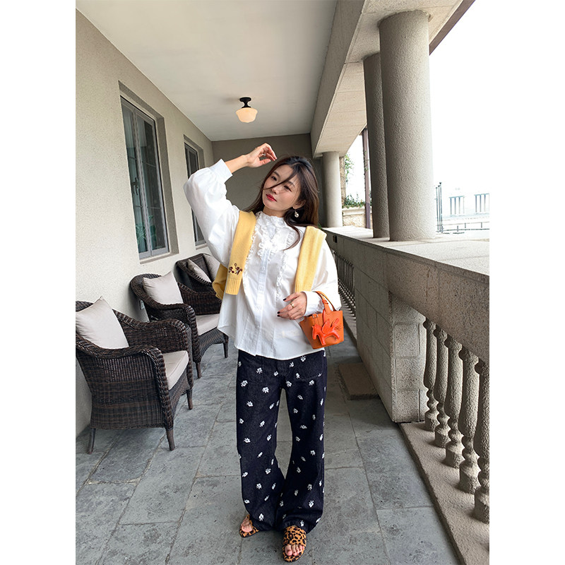 落落狷介白色衬衫女上衣2025年新款设计感长袖木耳边法式蕾丝衬衣