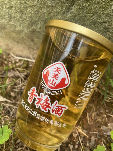 浙江泰顺特产天关山低度酒女士甜青梅酒果酒农家自酿梅子酒12杯装 - 图3