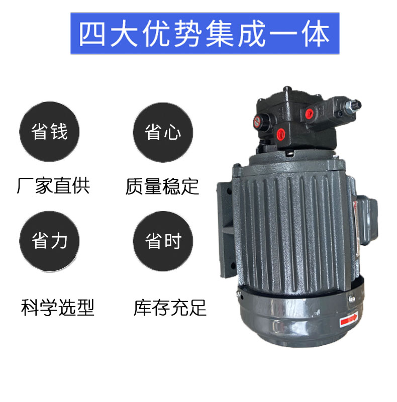 液压电机 内插式油泵电机 0.75KW/1.5KW/2.2KW配VP20/VP15/VP30 - 图1