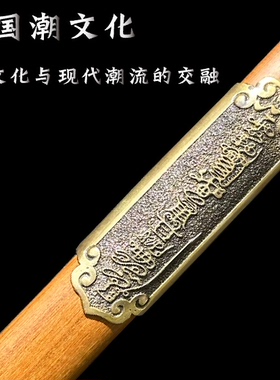 夏庄武备手工一体锻打纯阳剑专业训练剑铬钢未开刃