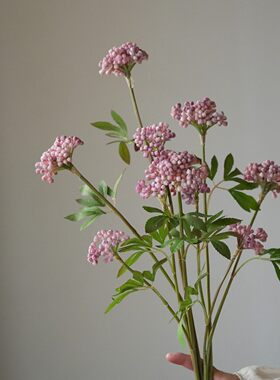 高品质仿真绿果果实植物绿果家居装饰品插花配材新中式拍摄摆件