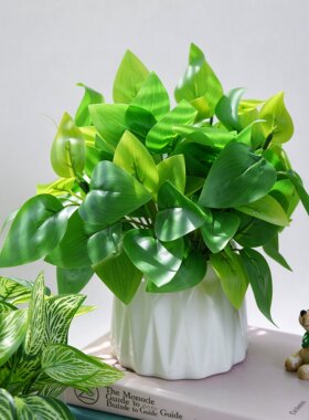 桌面绿植小盆栽仿真植物假花高级感逼真办公桌车内中控摆件装饰品