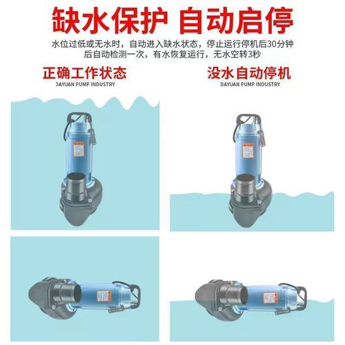 大元潜水泵220V家用小型滴灌抽水机高扬程380v三相农用灌溉污水泵 - 图3