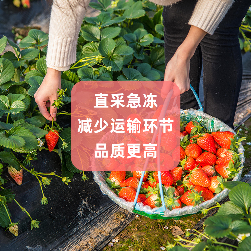 冷冻草莓新鲜2斤榨汁烘焙商用冷冻水果速冻红颜奶油草莓冷饮茶饮 - 图1