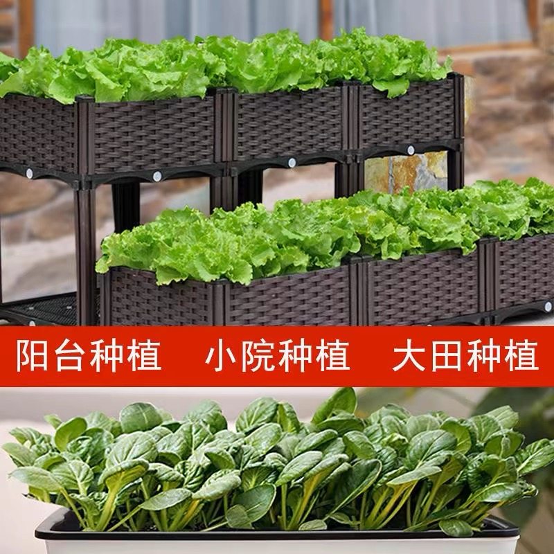 四季蔬菜种子春季菜籽阳台青菜番茄黄瓜生菜香菜小葱韭菜辣椒盆栽,淘宝优惠券,粉丝福利购,淘宝优惠卷