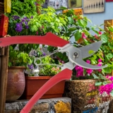 Slali Precision Steel Garden Ветвь сжимает инструменты для садоводства маленькие цветочные ножницы для дома фрукты