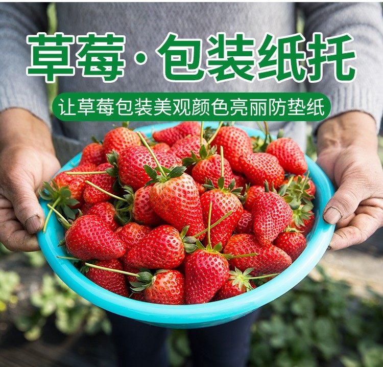 绿色包装草莓包装纸纸托水果垫纸蛋糕桃子大中小号商用防油纸托,淘宝优惠券,粉丝福利购,淘宝优惠卷
