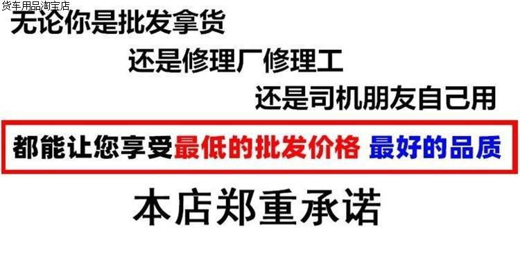 东风天锦KR脚垫180210 245 270驾驶室装饰用品全包围专用丝圈脚垫-图2