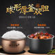Joyoung electric pressure cooker household smart 6L large capacity new high-pressure dual-gallon multi-function official flagship product