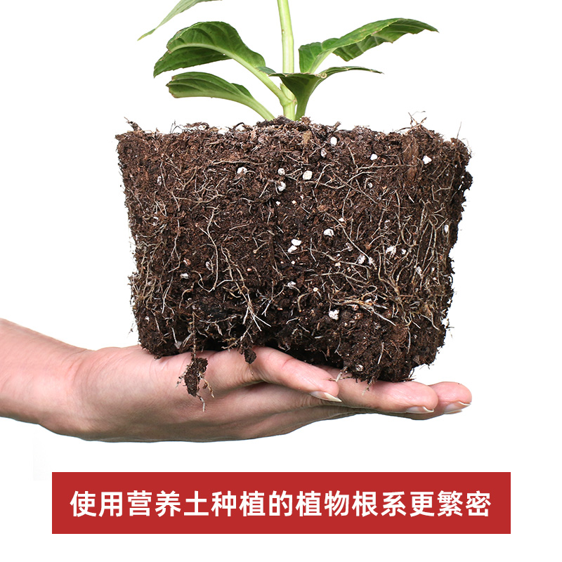 营养土通用型100斤种菜养花专用土壤花卉种植土大包花土阳台家用-图2