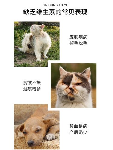 金盾达维宠物复合维生素b补血肝精狗狗猫用提高免疫辅助疗愈溶液-图0