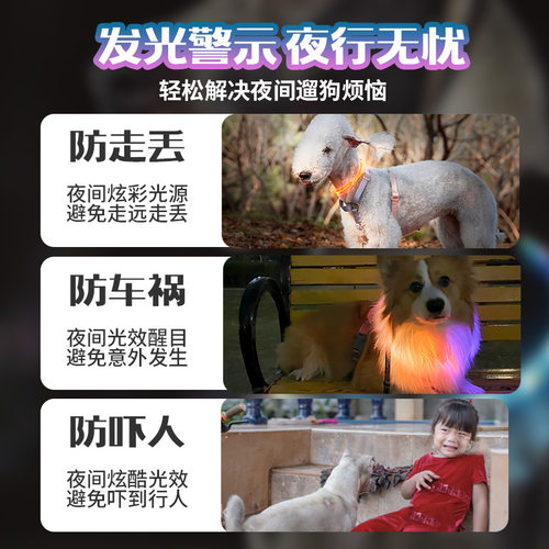 laroo莱诺狗狗发光项圈夜间遛狗灯宠物夜行防走失适用大中小型犬 - 图0