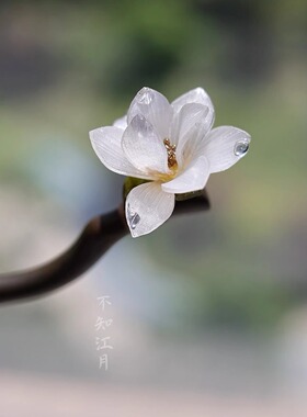 玉兰花簪 玉兰枝白玉兰发簪热缩 仿生绿檀木簪盘发汉服旗袍清冷